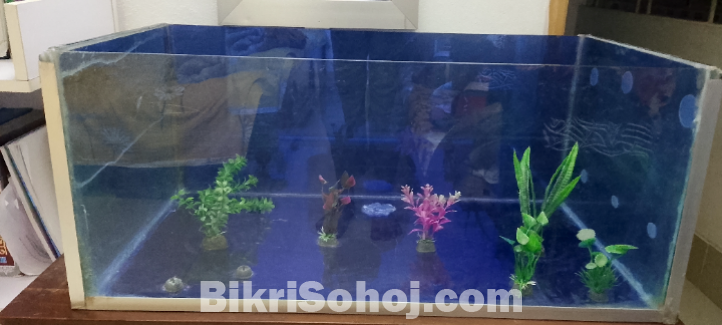 মাছের একুরিয়াম